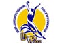 Логотип школы синхронного плавания Ольги Брусникиной ШТУРМ 2002